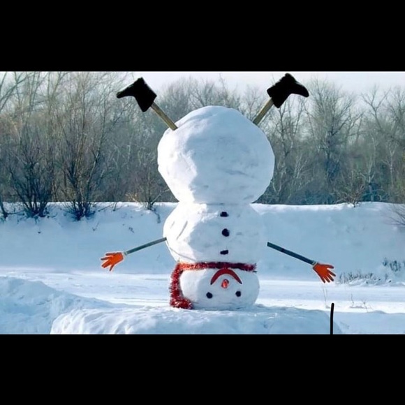 Meet your Posher, Nancy - Picture 1 of 1